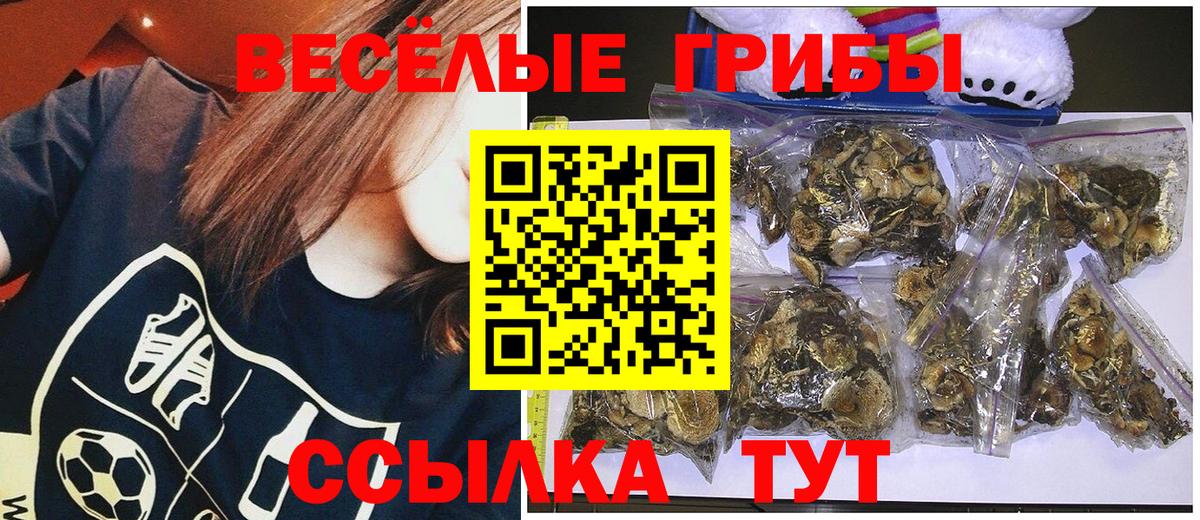 Галлюциногенные грибы прущие грибы Гусиноозёрск